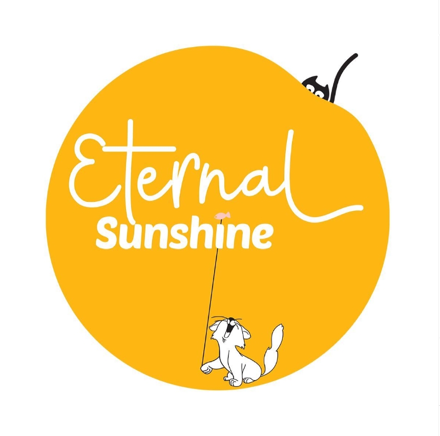 Eternal Sunshine, Alia Bhatt's production house